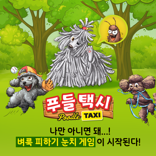 푸들택시 광고배너